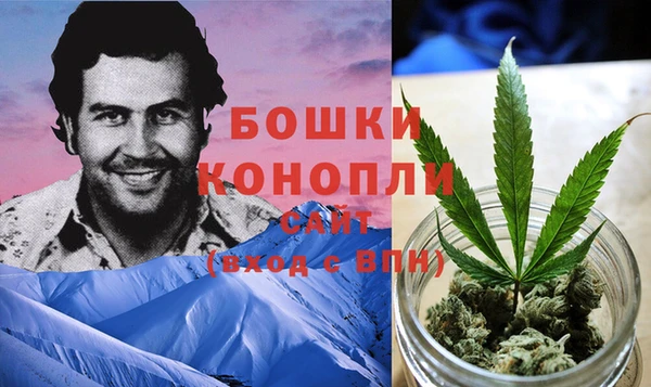 эйфоретик Пересвет