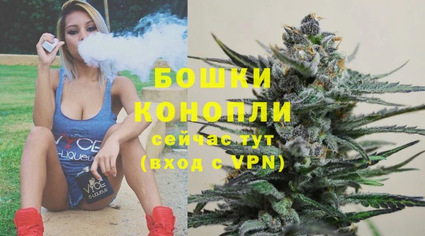 эйфоретик Пересвет