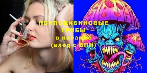 PSILOCYBIN Переславль-Залесский