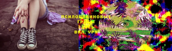 PSILOCYBIN Переславль-Залесский