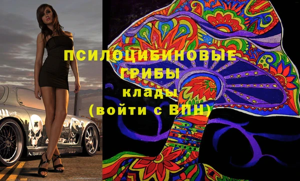 PSILOCYBIN Переславль-Залесский