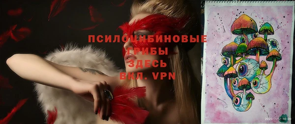 PSILOCYBIN Переславль-Залесский